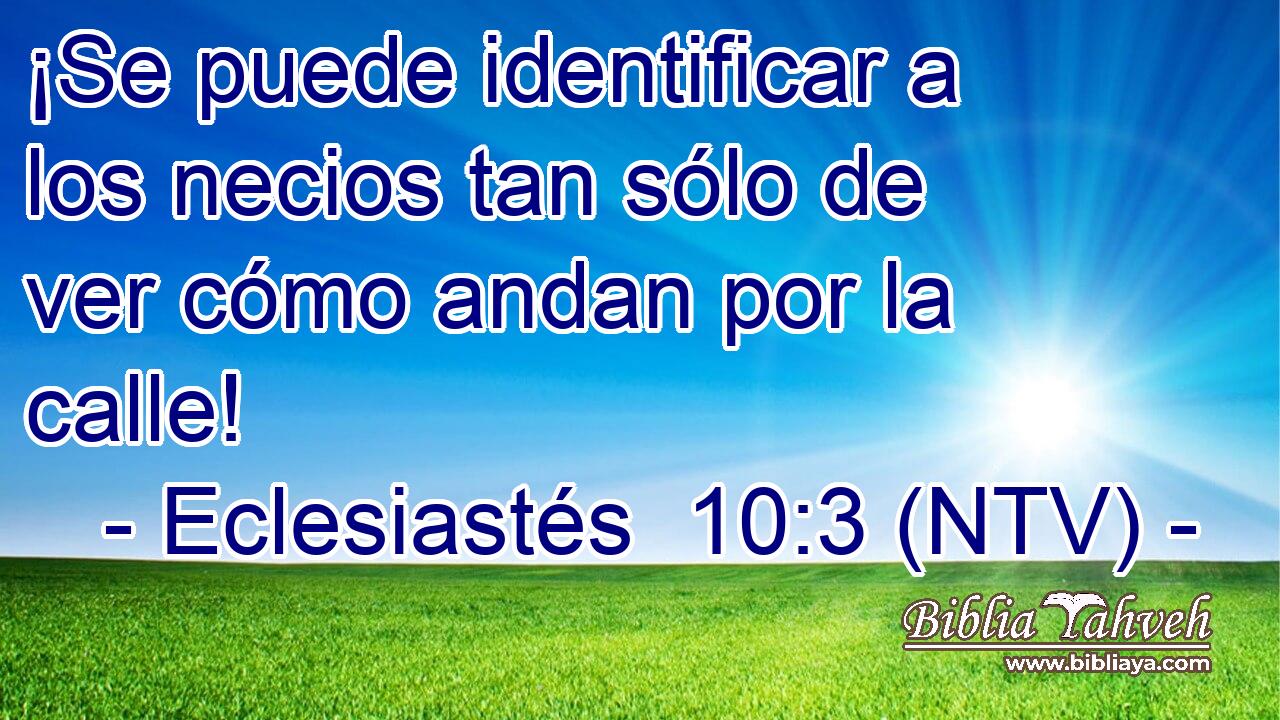 ¡Se puede identificar a los necios tan sólo de ver cómo andan por la calle!