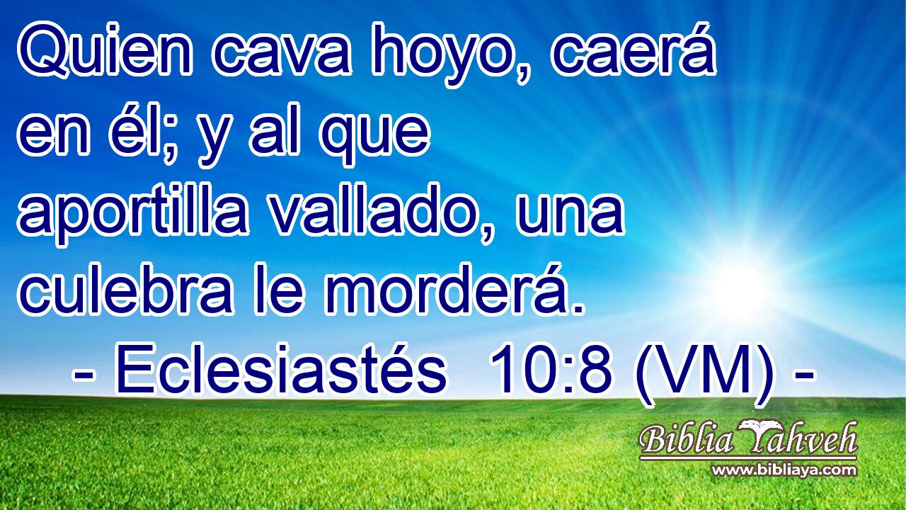  Quien cava hoyo, caerá en él; y al que aportilla vallado, una culebra le morderá. 