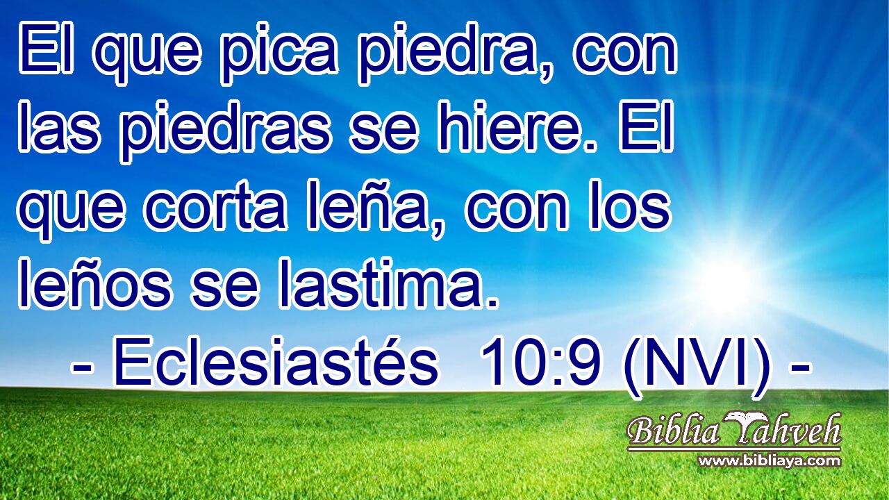  El que pica piedra, con las piedras se hiere. El que corta leña, con los leños se lastima. 
