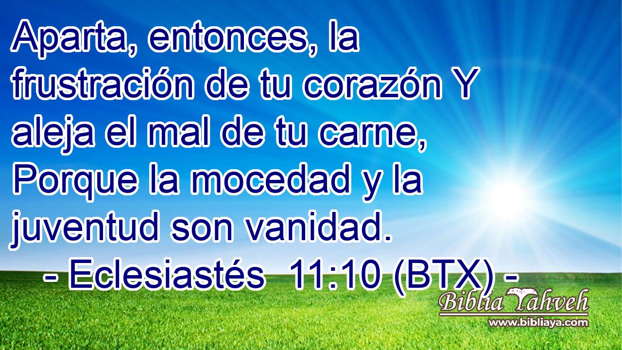 Aparta, entonces, la frustración de tu corazón Y aleja el mal de tu carne, Porque la mocedad y la juventud son vanidad.