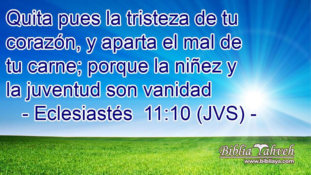 Quita pues la tristeza de tu corazón, y aparta el mal de tu carne; porque la niñez y la juventud son vanidad