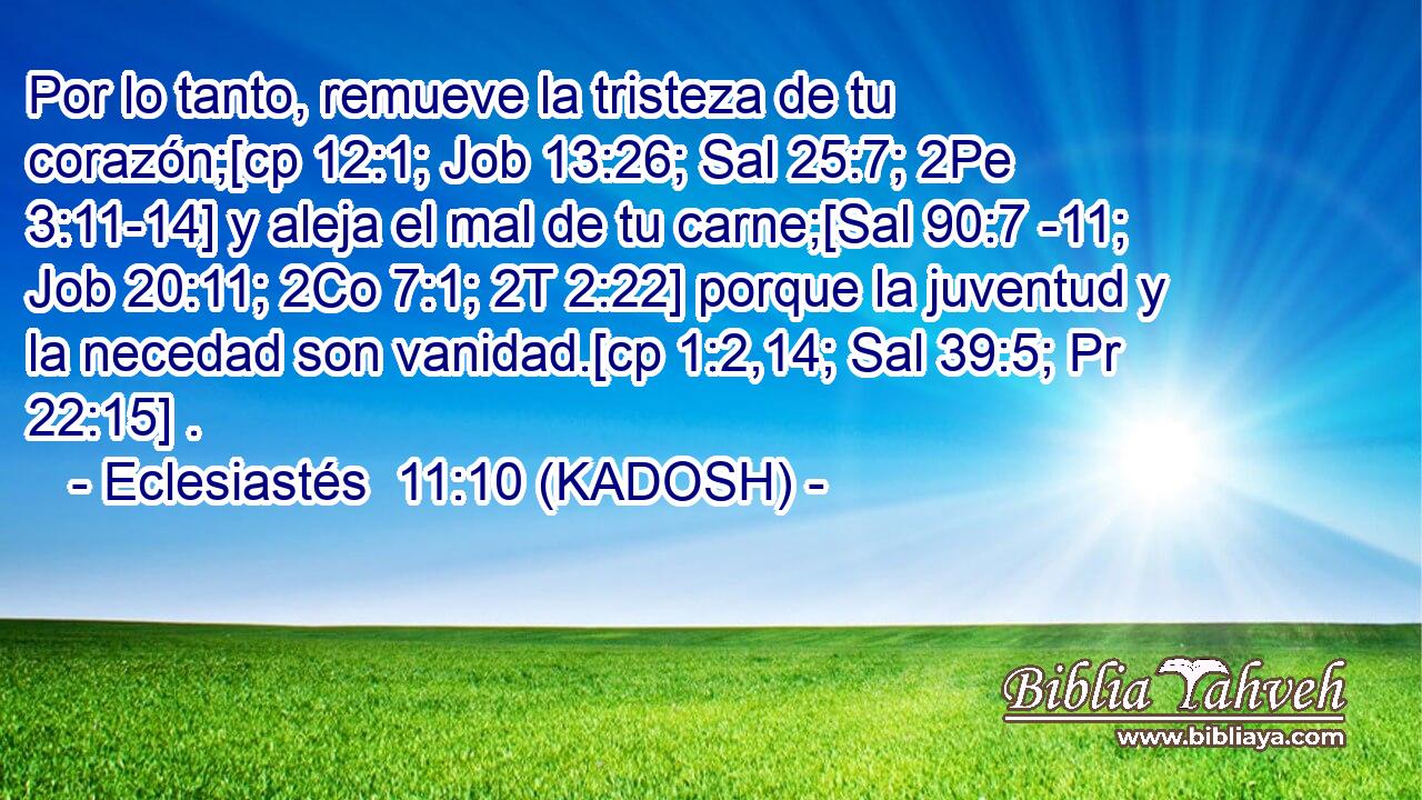  Por lo tanto, remueve la tristeza de tu corazón;[cp 12:1; Job 13:26; Sal 25:7; 2Pe 3:11-14] y aleja el mal de tu carne;[Sal 90:7 -11; Job 20:11; 2Co 7:1; 2T 2:22] porque la juventud y la necedad son vanidad.[cp 1:2,14; Sal 39:5; Pr 22:15] . 