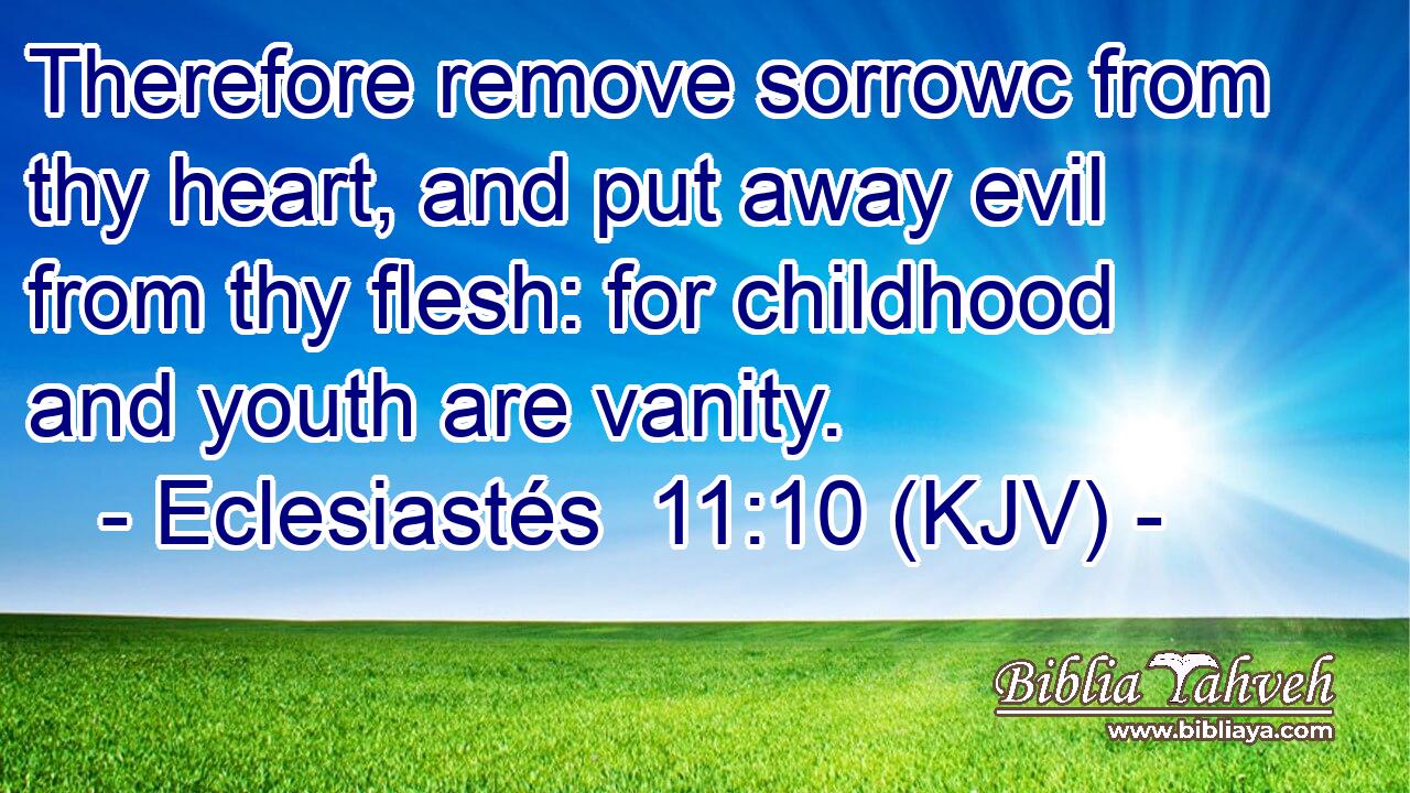 Therefore remove sorrowc from thy heart, and put away evil from thy flesh: for childhood and youth are vanity.