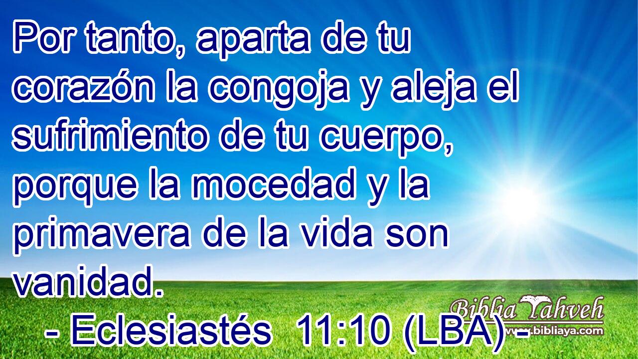Por tanto, aparta de tu corazón la congoja y aleja el sufrimiento de tu cuerpo, porque la mocedad y la primavera de la vida son vanidad.