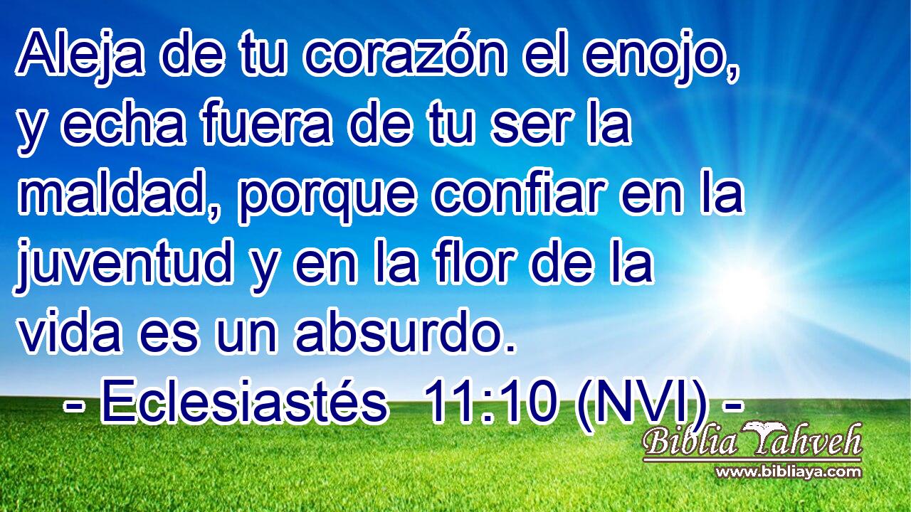  Aleja de tu corazón el enojo, y echa fuera de tu ser la maldad, porque confiar en la juventud y en la flor de la vida es un absurdo. 