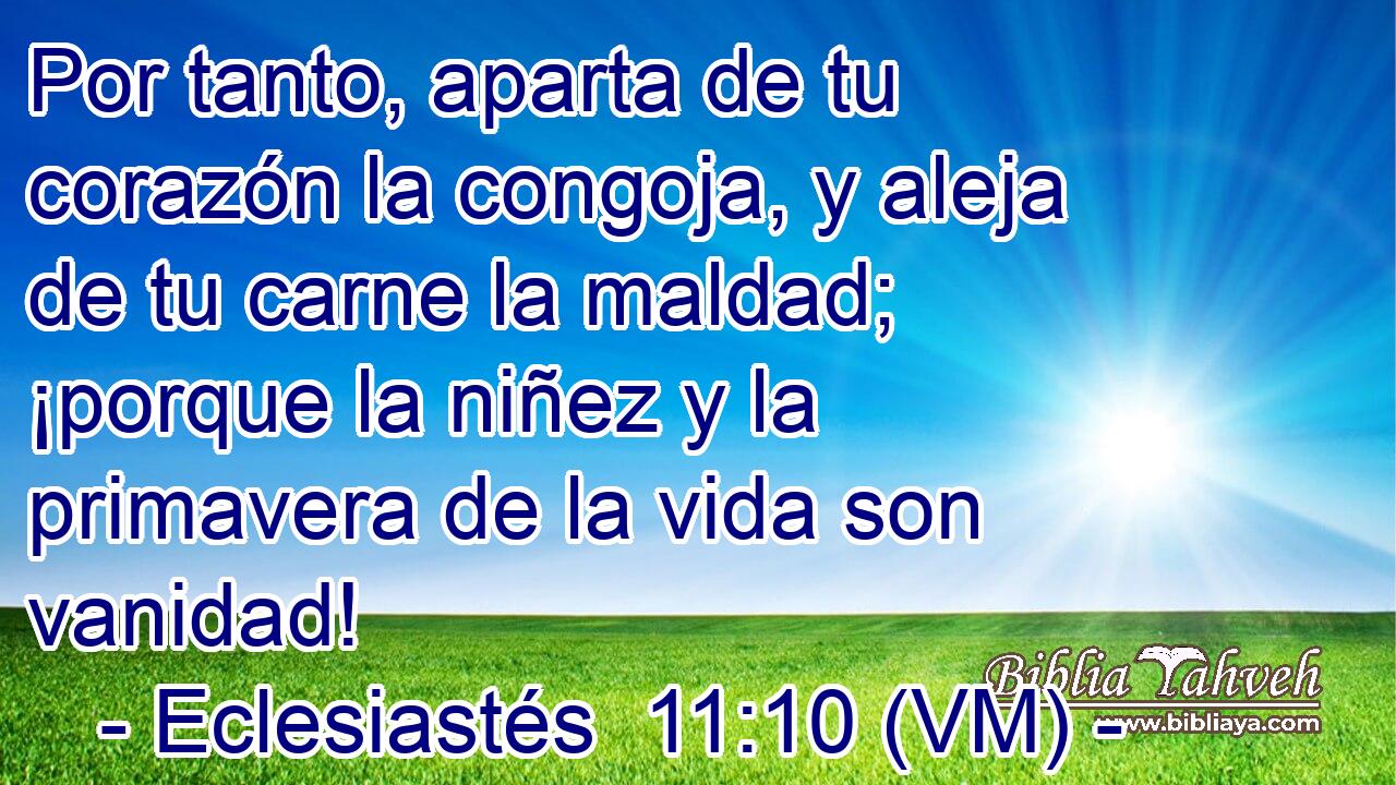  Por tanto, aparta de tu corazón la congoja, y aleja de tu carne la maldad; ¡porque la niñez y la primavera de la vida son vanidad! 