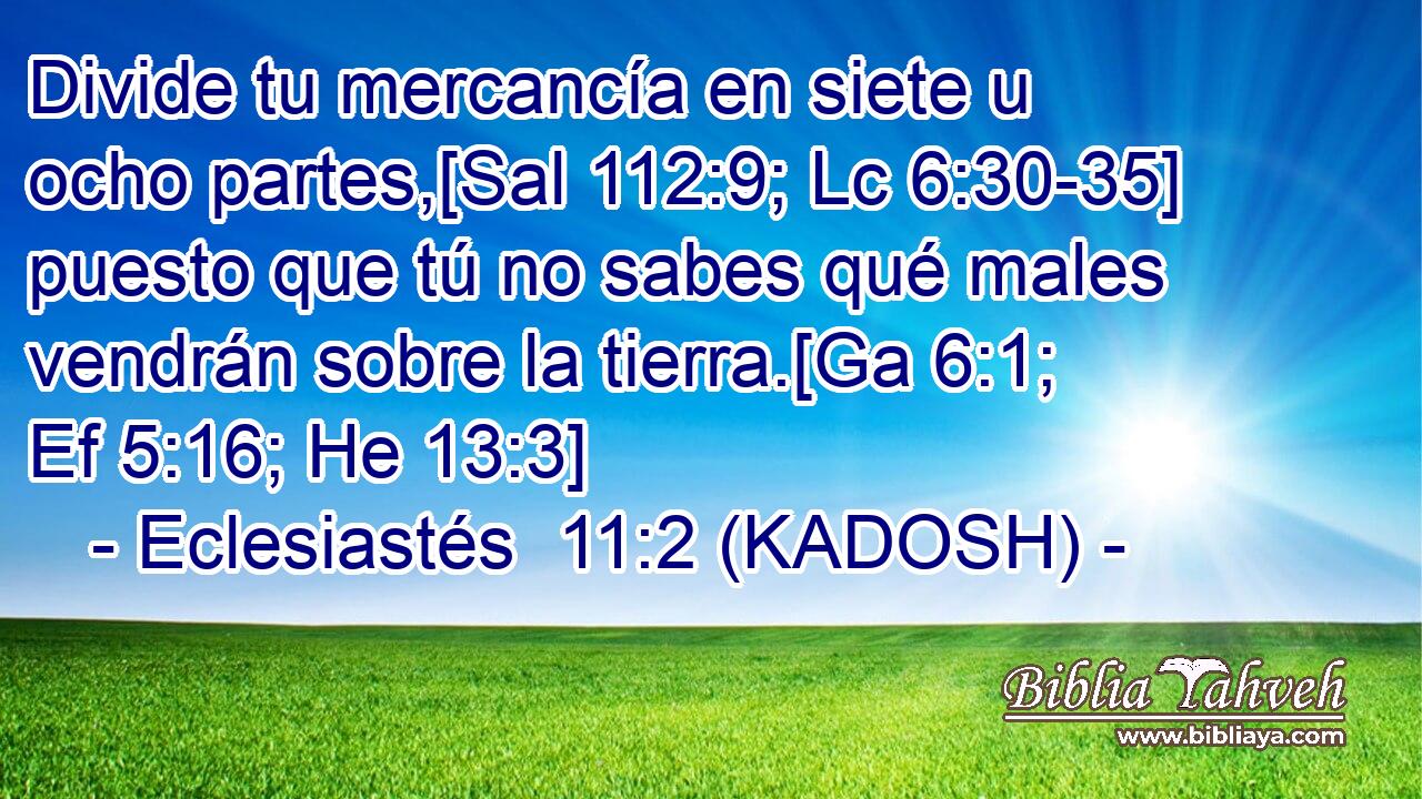  Divide tu mercancía en siete u ocho partes,[Sal 112:9; Lc 6:30-35] puesto que tú no sabes qué males vendrán sobre la tierra.[Ga 6:1; Ef 5:16; He 13:3] 