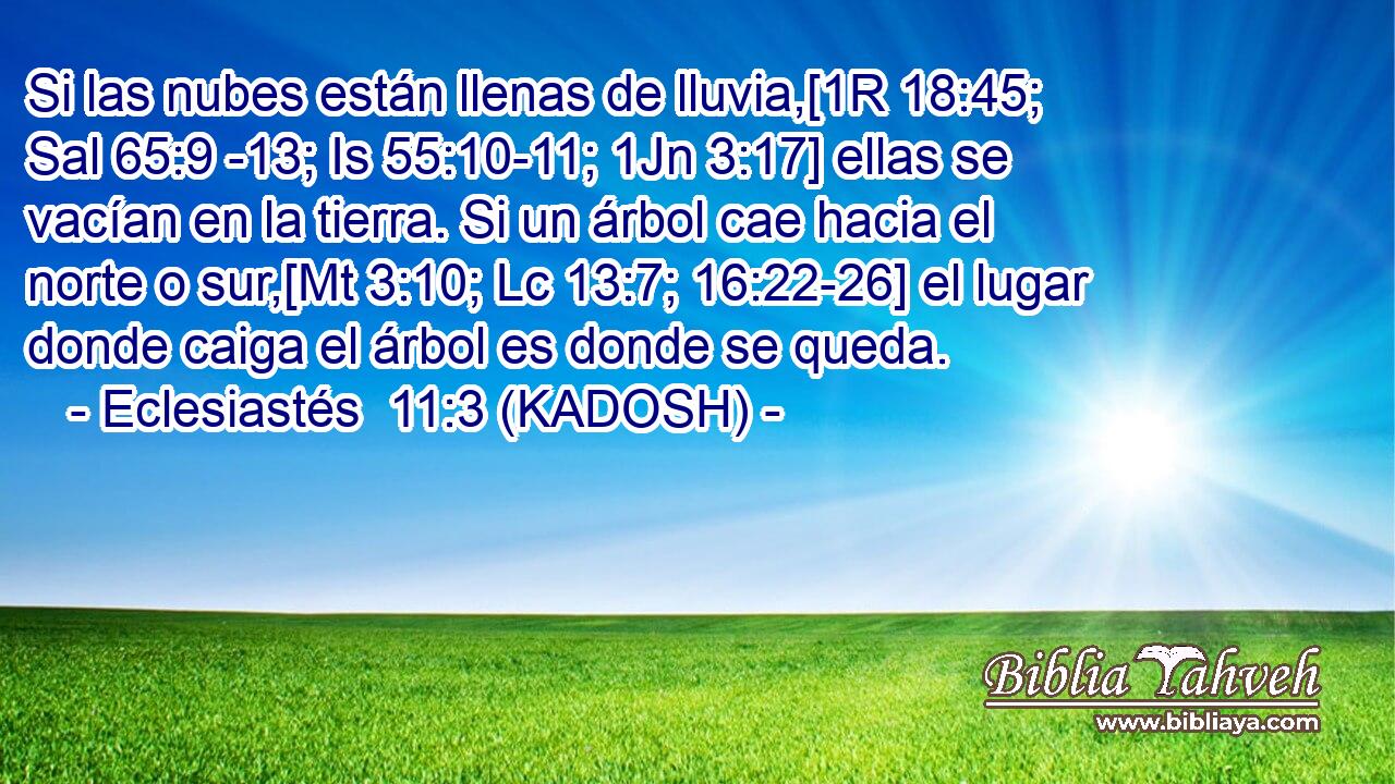  Si las nubes están llenas de lluvia,[1R 18:45; Sal 65:9 -13; Is 55:10-11; 1Jn 3:17] ellas se vacían en la tierra. Si un árbol cae hacia el norte o sur,[Mt 3:10; Lc 13:7; 16:22-26] el lugar donde caiga el árbol es donde se queda. 