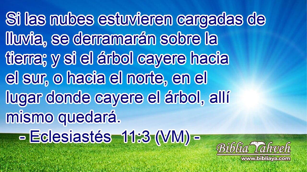  Si las nubes estuvieren cargadas de lluvia, se derramarán sobre la tierra; y si el árbol cayere hacia el sur, o hacia el norte, en el lugar donde cayere el árbol, allí mismo quedará. 