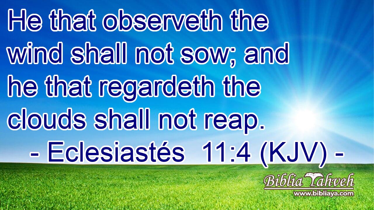 He that observeth the wind shall not sow; and he that regardeth the clouds shall not reap.