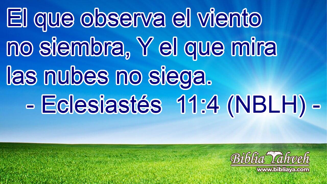  El que observa el viento no siembra, Y el que mira las nubes no siega. 