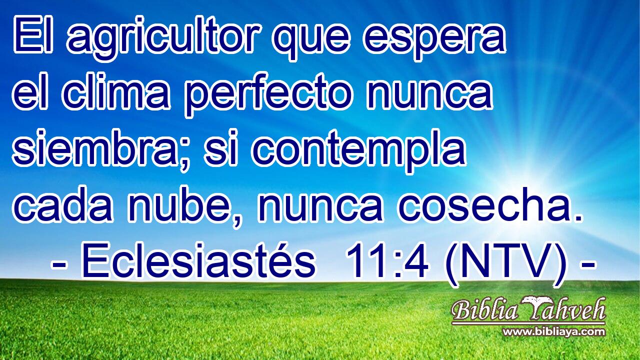 El agricultor que espera el clima perfecto nunca siembra; si contempla cada nube, nunca cosecha.