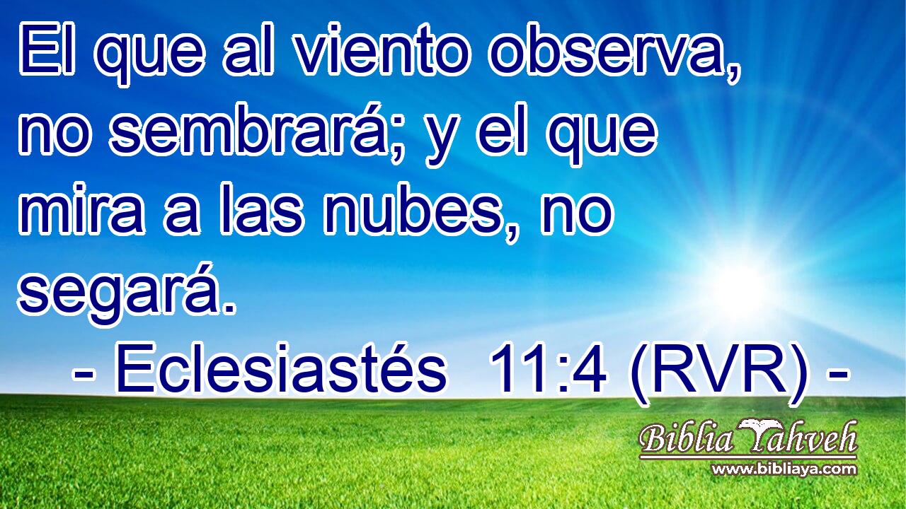El que al viento observa, no sembrará; y el que mira a las nubes, no segará.