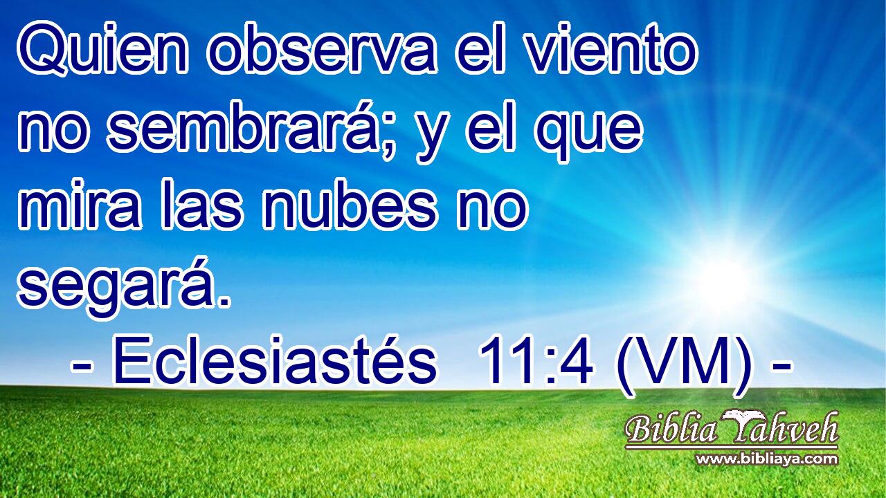  Quien observa el viento no sembrará; y el que mira las nubes no segará. 