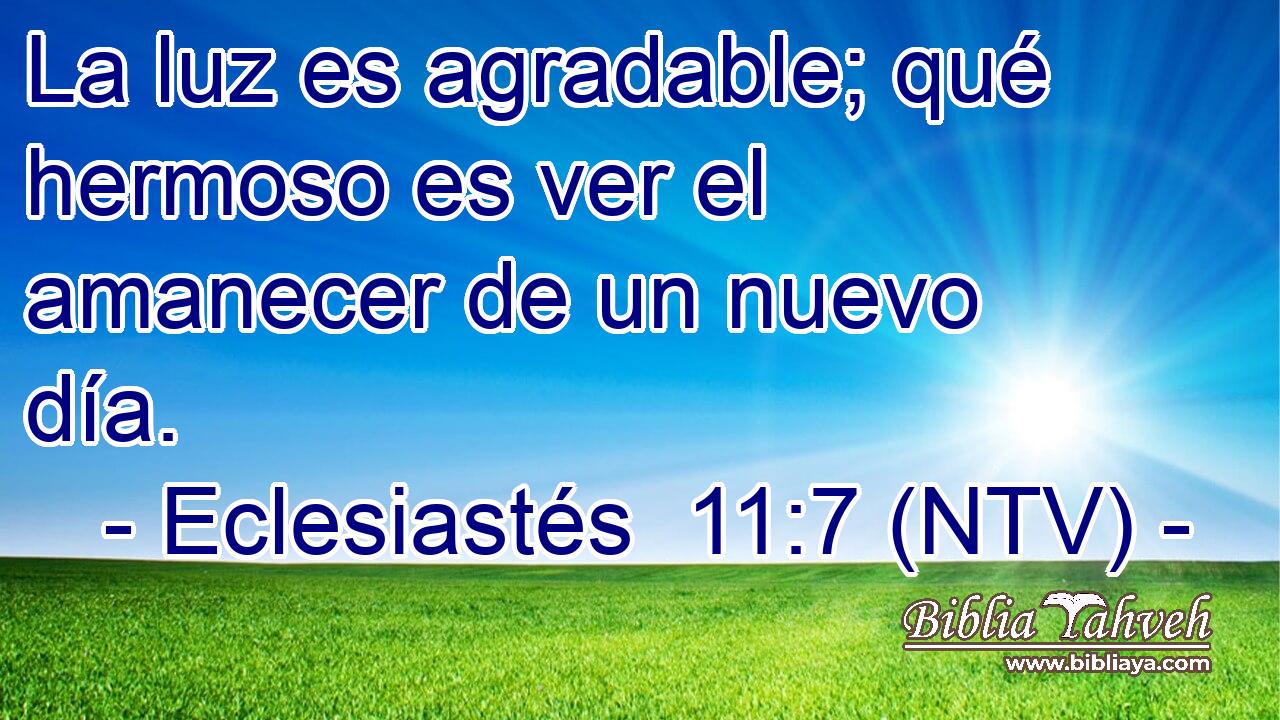 La luz es agradable; qué hermoso es ver el amanecer de un nuevo día.