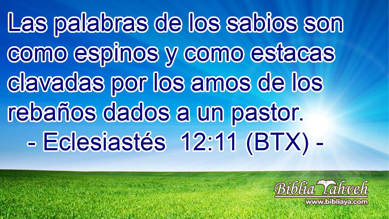 Las palabras de los sabios son como espinos y como estacas clavadas por los amos de los rebaños dados a un pastor.
