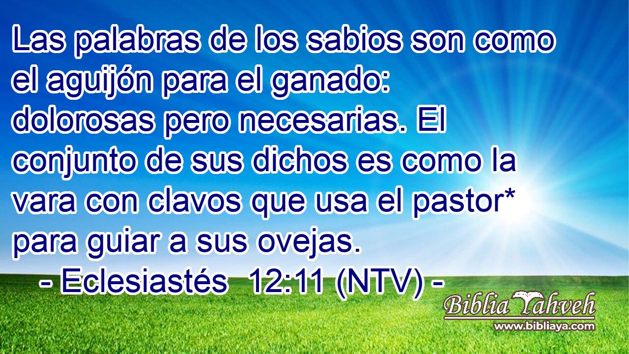 Las palabras de los sabios son como el aguijón para el ganado: dolorosas pero necesarias. El conjunto de sus dichos es como la vara con clavos que usa el pastor* para guiar a sus ovejas.