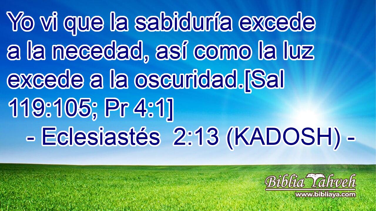  Yo vi que la sabiduría excede a la necedad, así como la luz excede a la oscuridad.[Sal 119:105; Pr 4:1] 