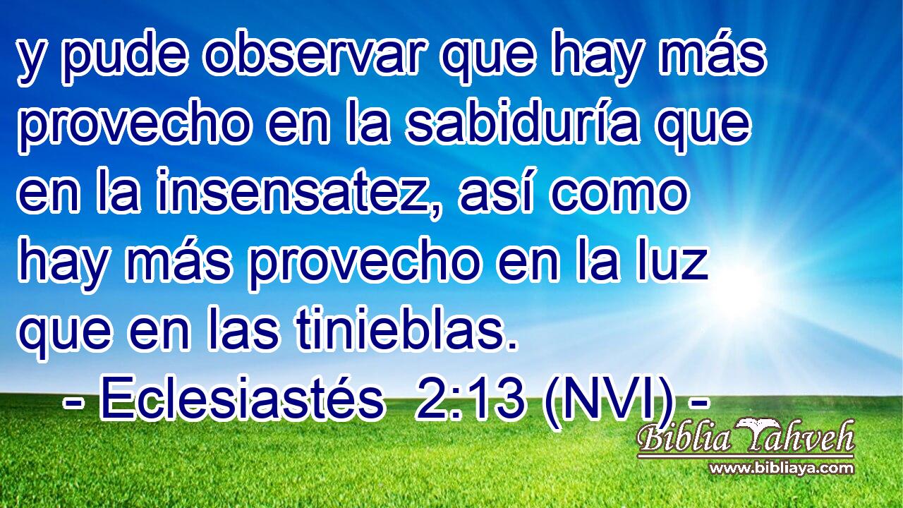  y pude observar que hay más provecho en la sabiduría que en la insensatez, así como hay más provecho en la luz que en las tinieblas. 