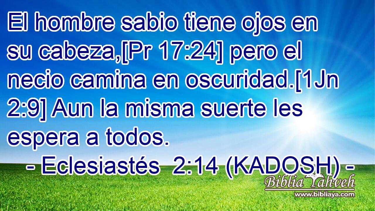  El hombre sabio tiene ojos en su cabeza,[Pr 17:24] pero el necio camina en oscuridad.[1Jn 2:9] Aun la misma suerte les espera a todos. 