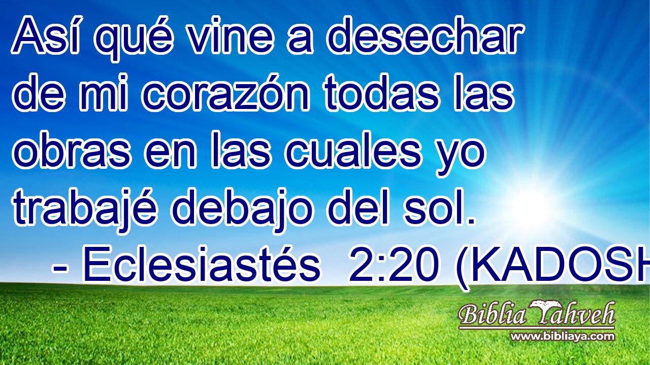  Así qué vine a desechar de mi corazón todas las obras en las cuales yo trabajé debajo del sol. 
