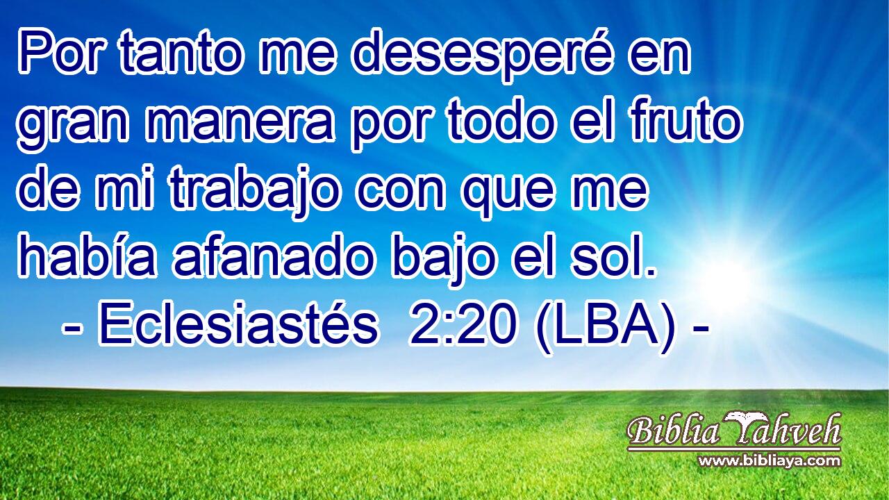 Por tanto me desesperé en gran manera por todo el fruto de mi trabajo con que me había afanado bajo el sol.