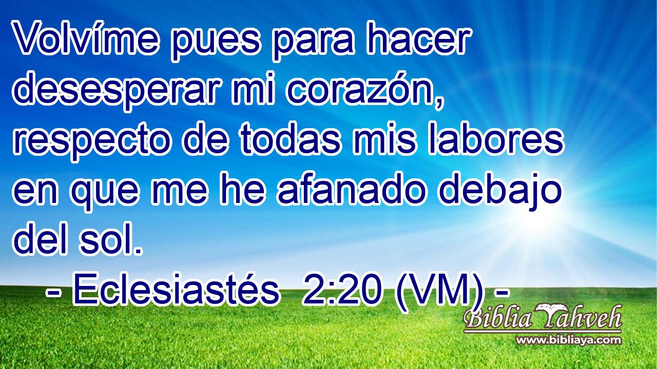  Volvíme pues para hacer desesperar mi corazón, respecto de todas mis labores en que me he afanado debajo del sol. 