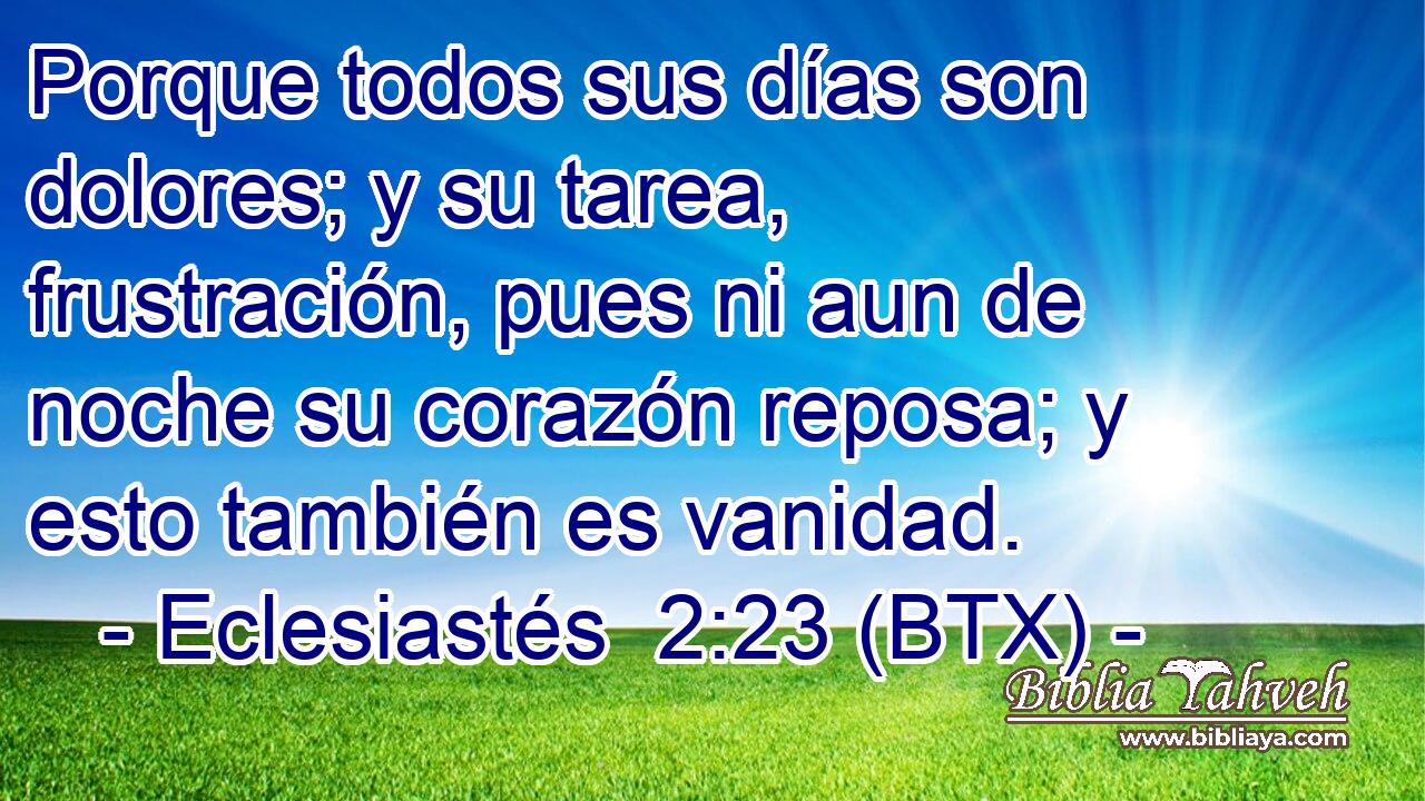 Porque todos sus días son dolores; y su tarea, frustración, pues ni aun de noche su corazón reposa; y esto también es vanidad.
