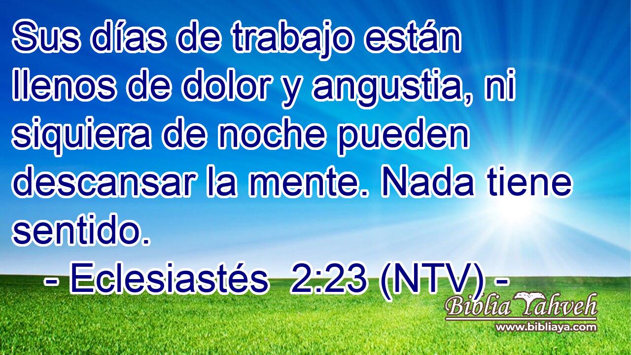 Sus días de trabajo están llenos de dolor y angustia, ni siquiera de noche pueden descansar la mente. Nada tiene sentido.