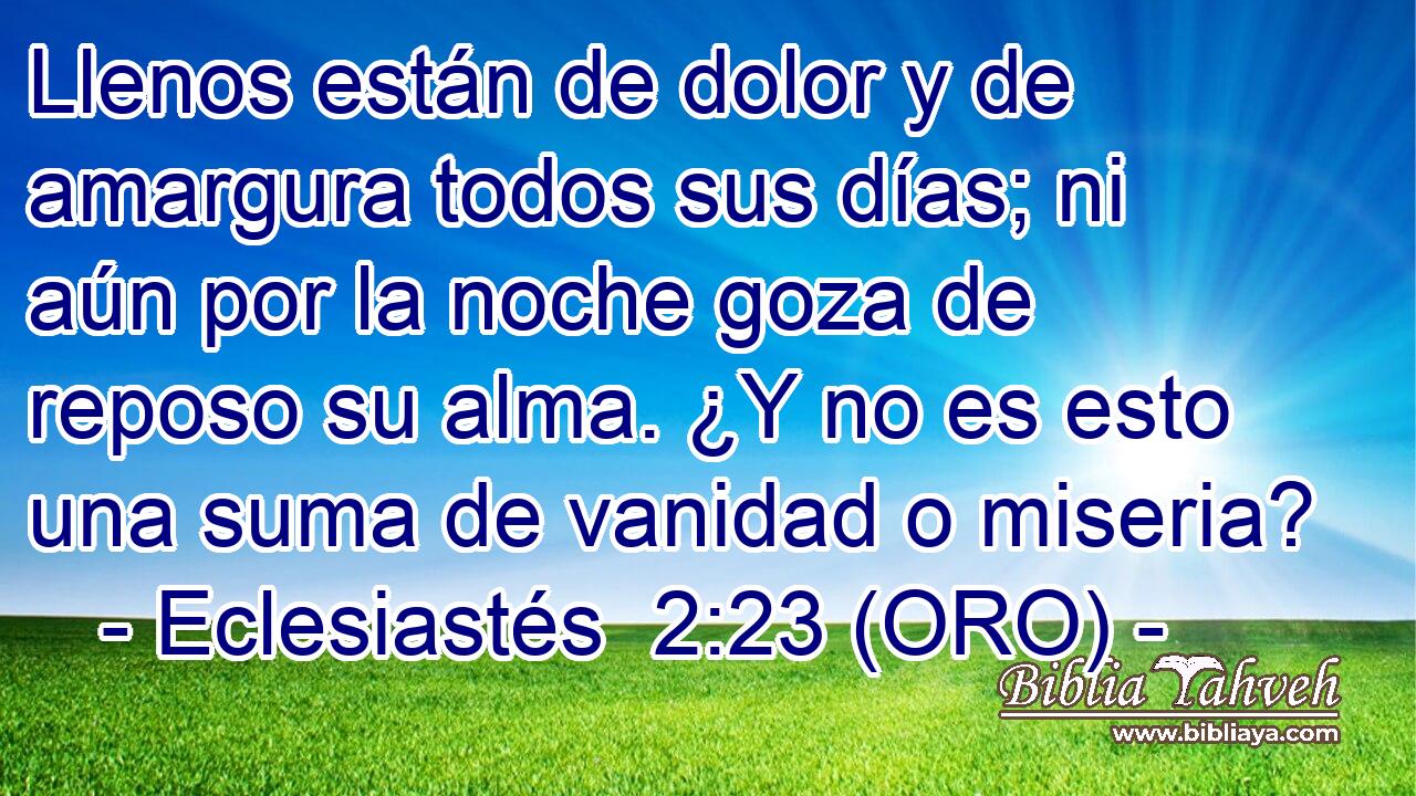  Llenos están de dolor y de amargura todos sus días; ni aún por la noche goza de reposo su alma. ¿Y no es esto una suma de vanidad o miseria? 