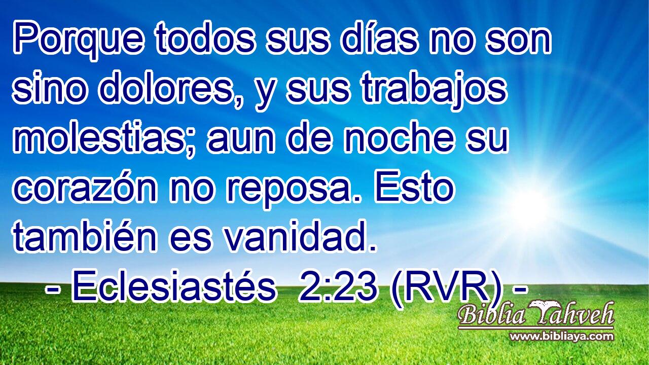 Porque todos sus días no son sino dolores, y sus trabajos molestias; aun de noche su corazón no reposa. Esto también es vanidad.