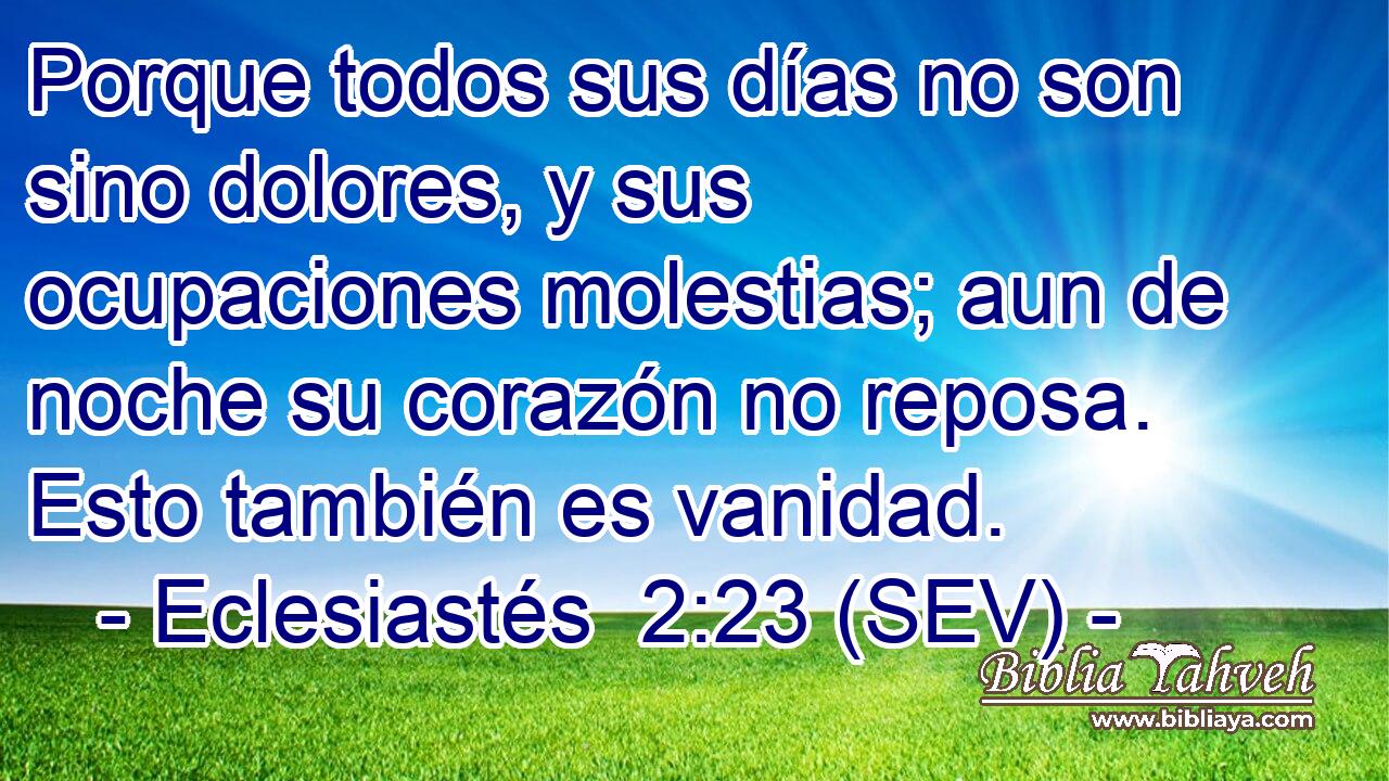 Porque todos sus días no son sino dolores, y sus ocupaciones molestias; aun de noche su corazón no reposa. Esto también es vanidad.