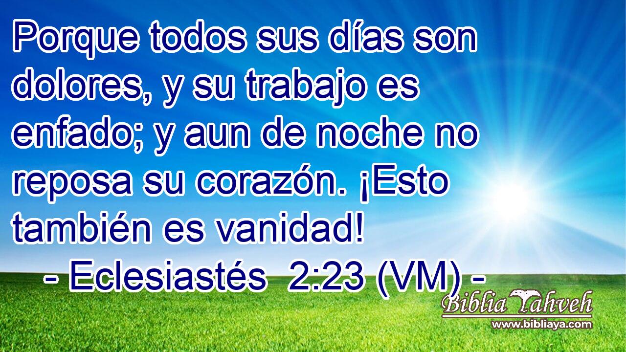  Porque todos sus días son dolores, y su trabajo es enfado; y aun de noche no reposa su corazón. ¡Esto también es vanidad! 