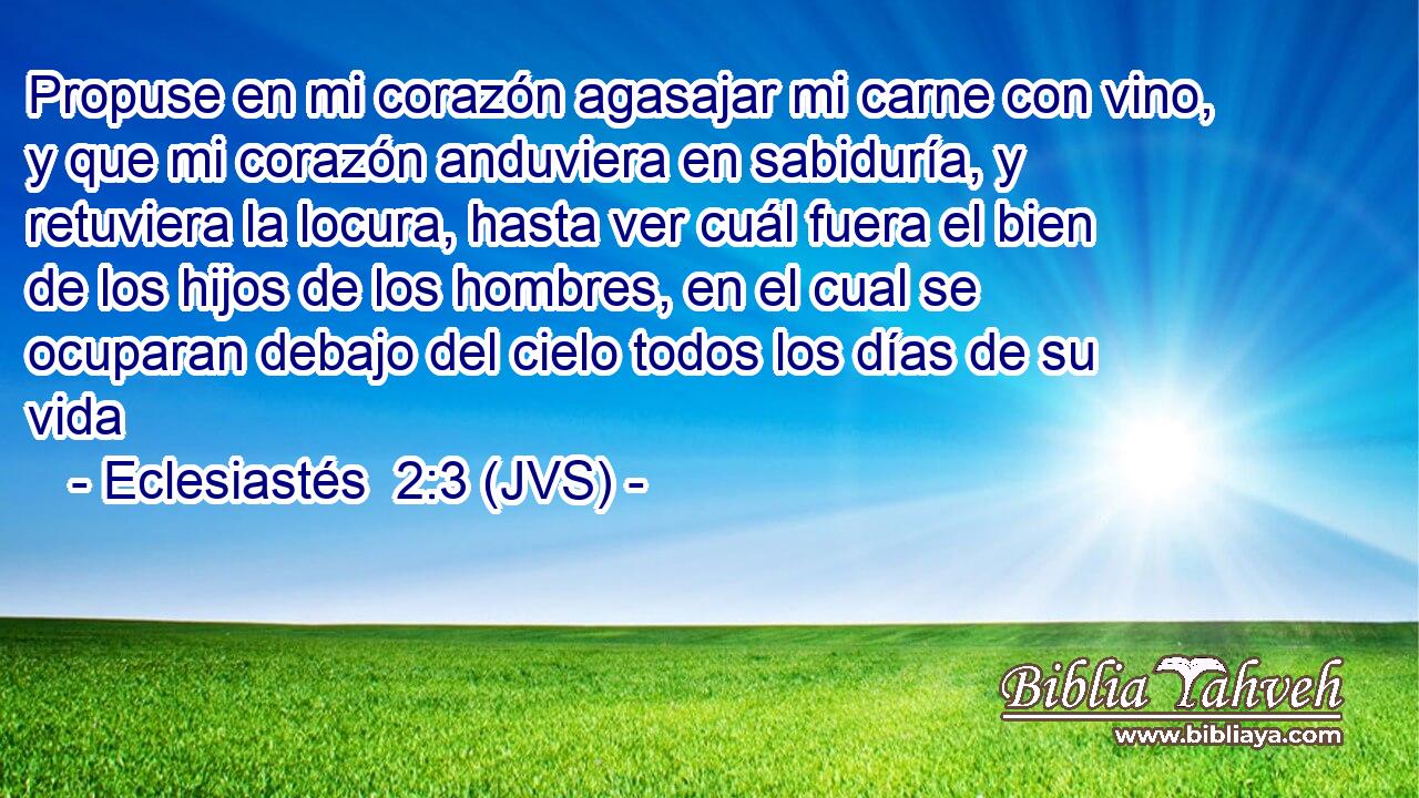 Propuse en mi corazón agasajar mi carne con vino, y que mi corazón anduviera en sabiduría, y retuviera la locura, hasta ver cuál fuera el bien de los hijos de los hombres, en el cual se ocuparan debajo del cielo todos los días de su vida