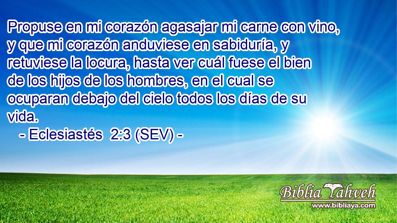 Propuse en mi corazón agasajar mi carne con vino, y que mi corazón anduviese en sabiduría, y retuviese la locura, hasta ver cuál fuese el bien de los hijos de los hombres, en el cual se ocuparan debajo del cielo todos los días de su vida.