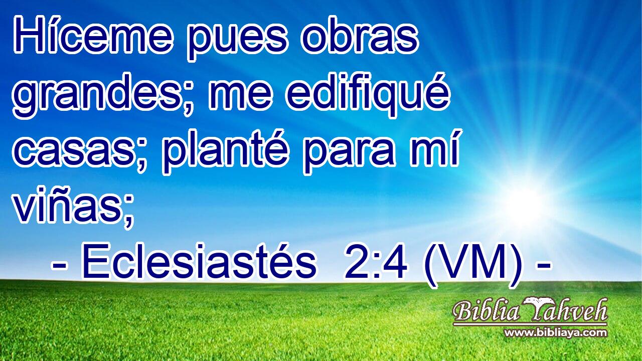  Híceme pues obras grandes; me edifiqué casas; planté para mí viñas; 