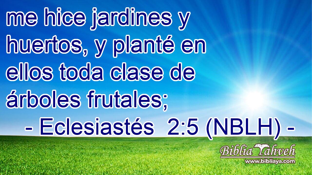 me hice jardines y huertos, y planté en ellos toda clase de árboles frutales; 