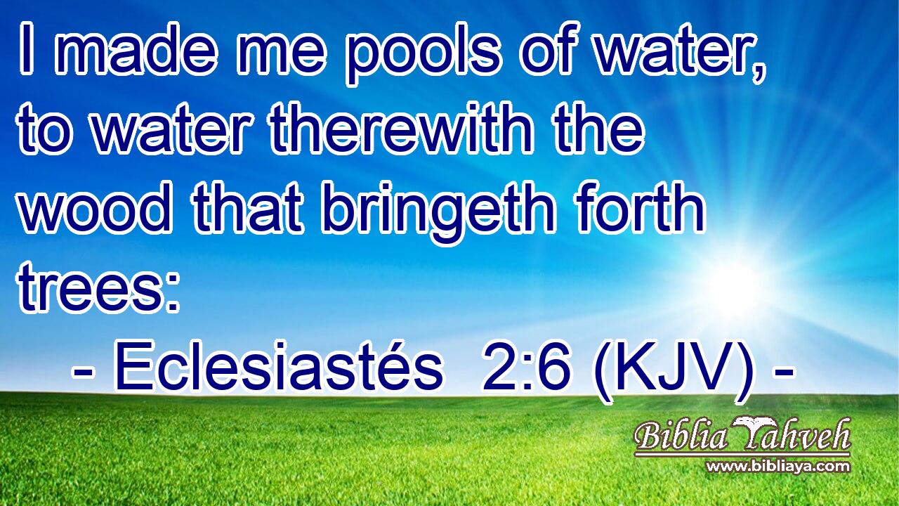 I made me pools of water, to water therewith the wood that bringeth forth trees: