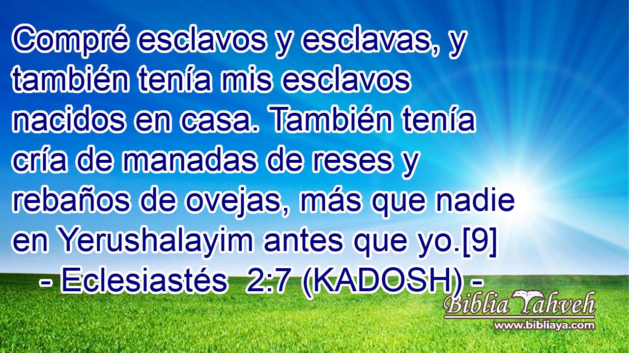  Compré esclavos y esclavas, y también tenía mis esclavos nacidos en casa. También tenía cría de manadas de reses y rebaños de ovejas, más que nadie en Yerushalayim antes que yo.[9] 