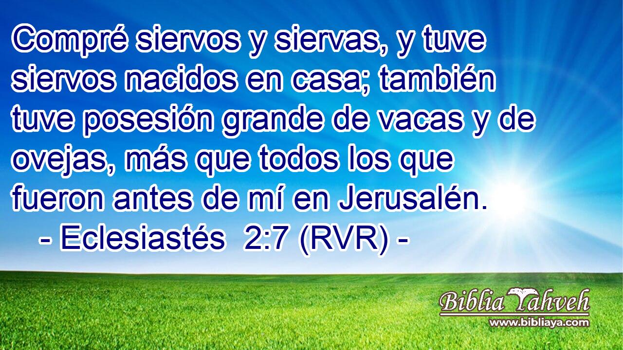 Compré siervos y siervas, y tuve siervos nacidos en casa; también tuve posesión grande de vacas y de ovejas, más que todos los que fueron antes de mí en Jerusalén.