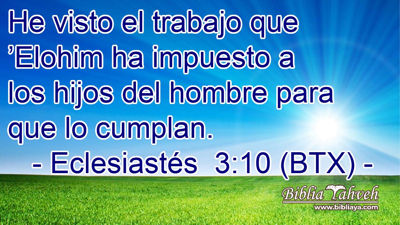 He visto el trabajo que ’Elohim ha impuesto a los hijos del hombre para que lo cumplan.