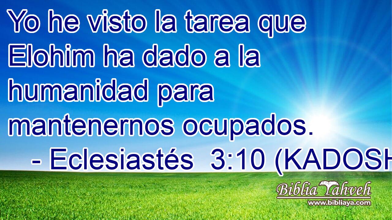  Yo he visto la tarea que Elohim ha dado a la humanidad para mantenernos ocupados. 