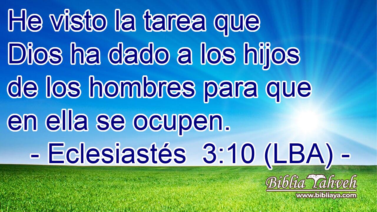 He visto la tarea que Dios ha dado a los hijos de los hombres para que en ella se ocupen.