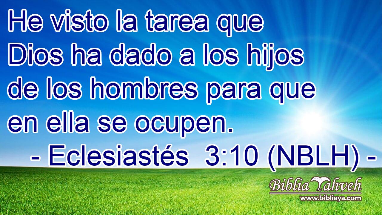  He visto la tarea que Dios ha dado a los hijos de los hombres para que en ella se ocupen. 