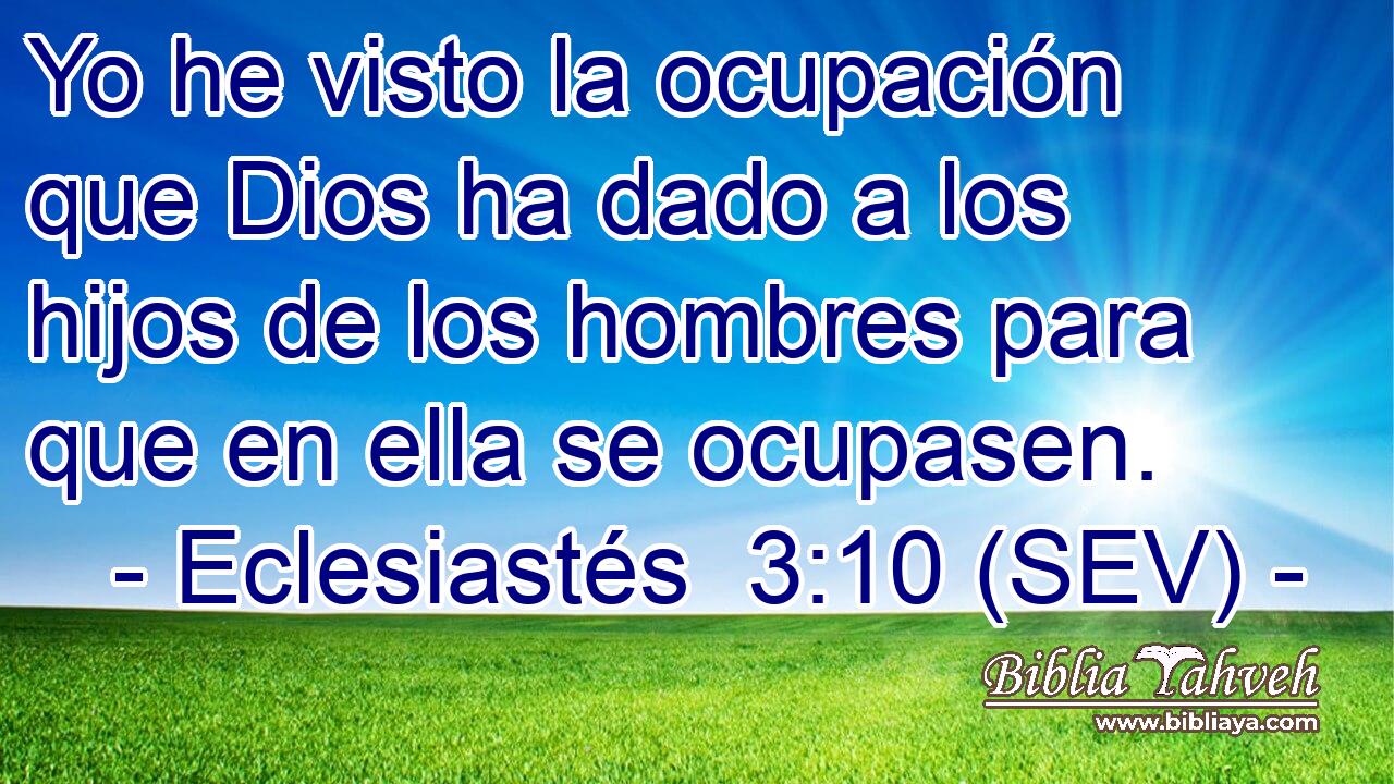 Yo he visto la ocupación que Dios ha dado a los hijos de los hombres para que en ella se ocupasen.