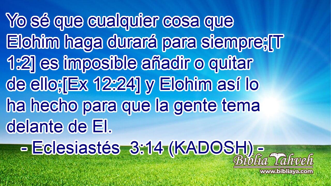  Yo sé que cualquier cosa que Elohim haga durará para siempre;[T 1:2] es imposible añadir o quitar de ello;[Ex 12:24] y Elohim así lo ha hecho para que la gente tema delante de El. 
