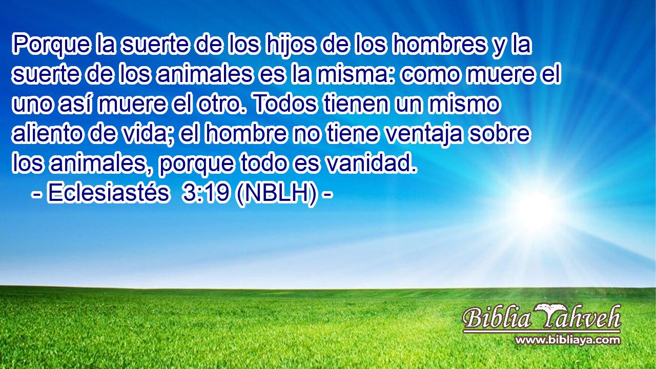  Porque la suerte de los hijos de los hombres y la suerte de los animales es la misma: como muere el uno así muere el otro. Todos tienen un mismo aliento de vida; el hombre no tiene ventaja sobre los animales, porque todo es vanidad. 