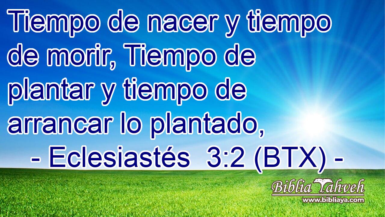 Tiempo de nacer y tiempo de morir, Tiempo de plantar y tiempo de arrancar lo plantado,
