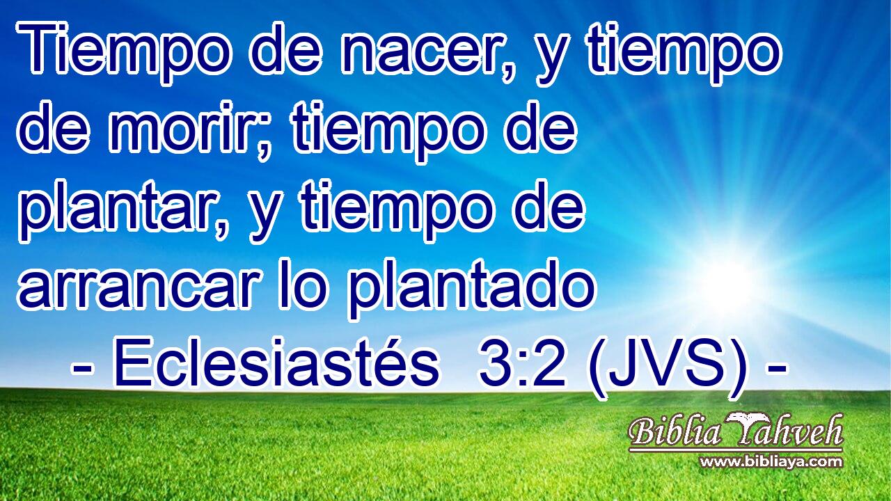 Tiempo de nacer, y tiempo de morir; tiempo de plantar, y tiempo de arrancar lo plantado