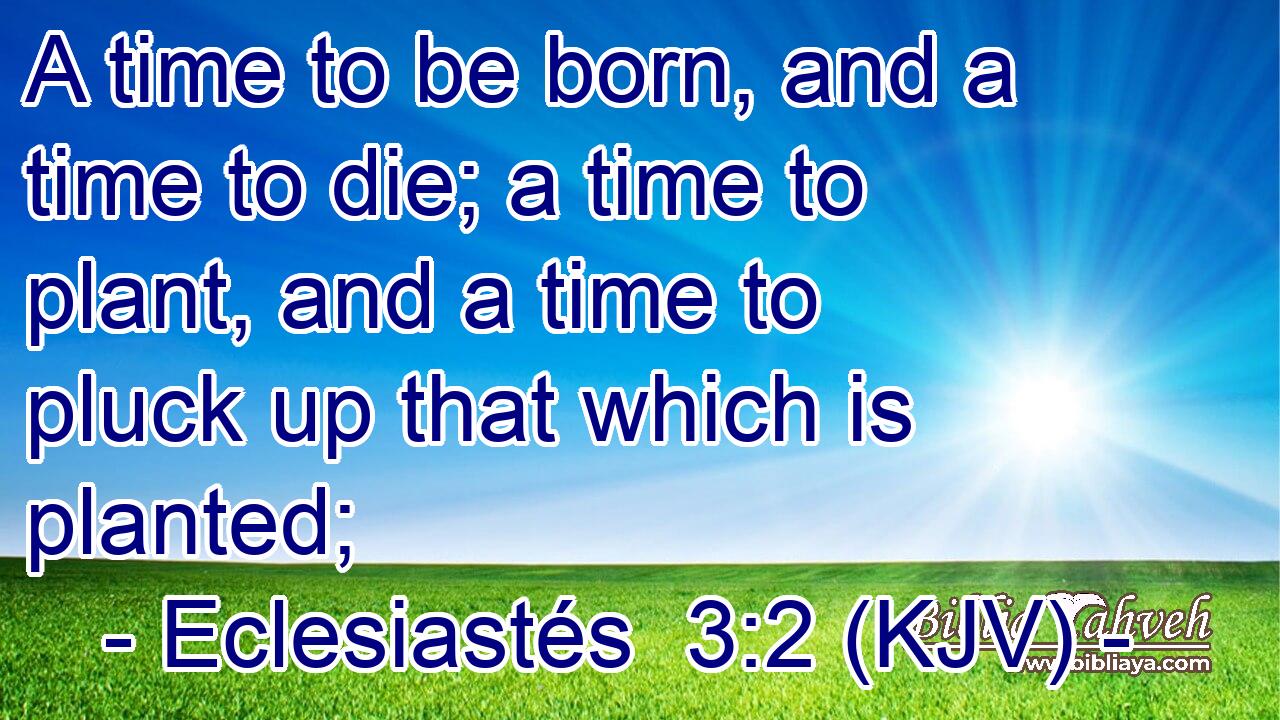 A time to be born, and a time to die; a time to plant, and a time to pluck up that which is planted;